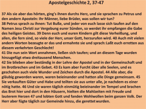 Bibelkurs-Apostelgeschichte 2