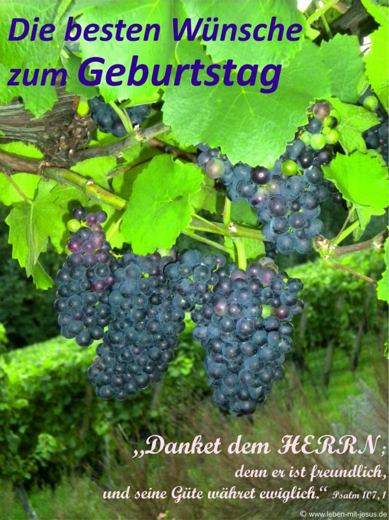 e-cards Geburtstag-Weinrebe