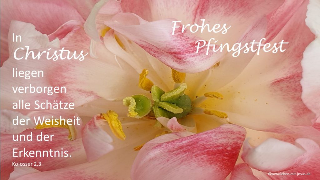 Predigt zu Apostelgeschichte 2,1-11 Pfingstsonntag Pfingsten e-cards zu Pfingsten christliche e-cards e-cards mit Bibeltexten Bibelversen besonders schöne e-cards mit Blumen Blumenmotiv