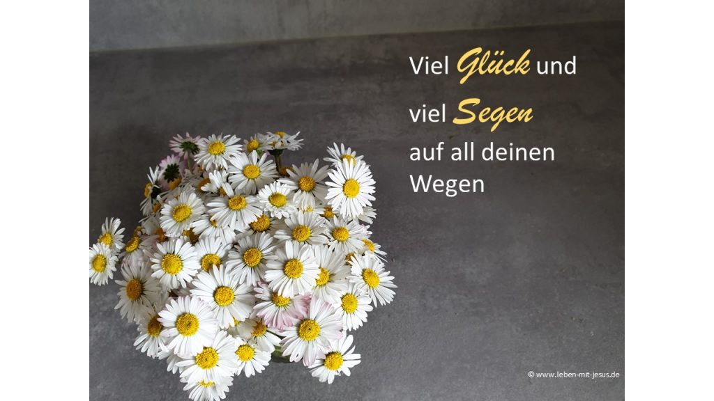 e-cards Geburtstag Gute Wünsche e-cards zum geburtstag mit Blumen Gänseblümchen Glück und Segen