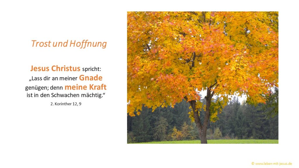 e-cards Trauer Trost Zuversicht Herbstlaub