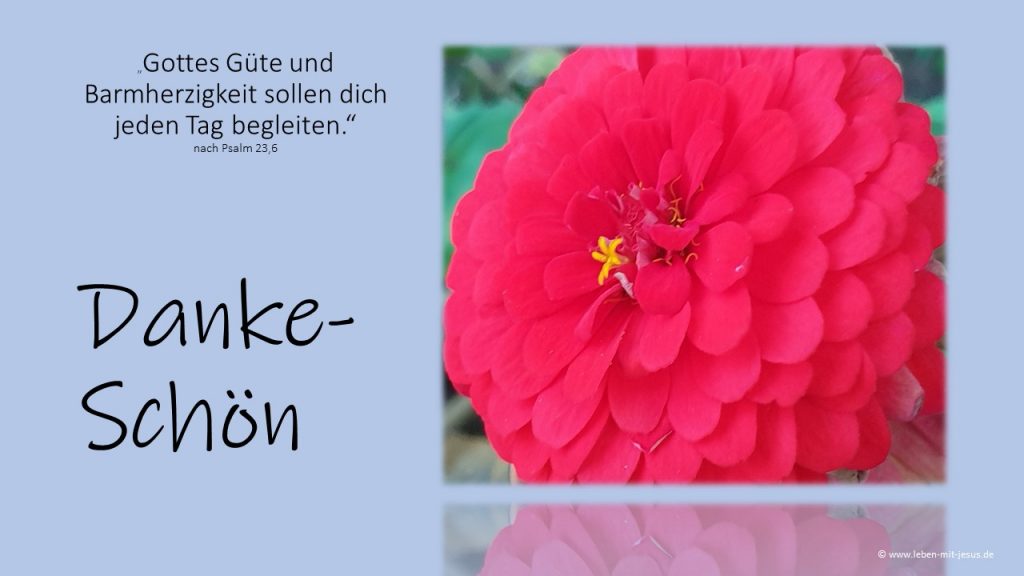 e-cards Danke Dankeschön e-cards mit Blumen christliche e-cards e-cards mit Bibelversen Barmherzigkeit Güte Ich danke dir