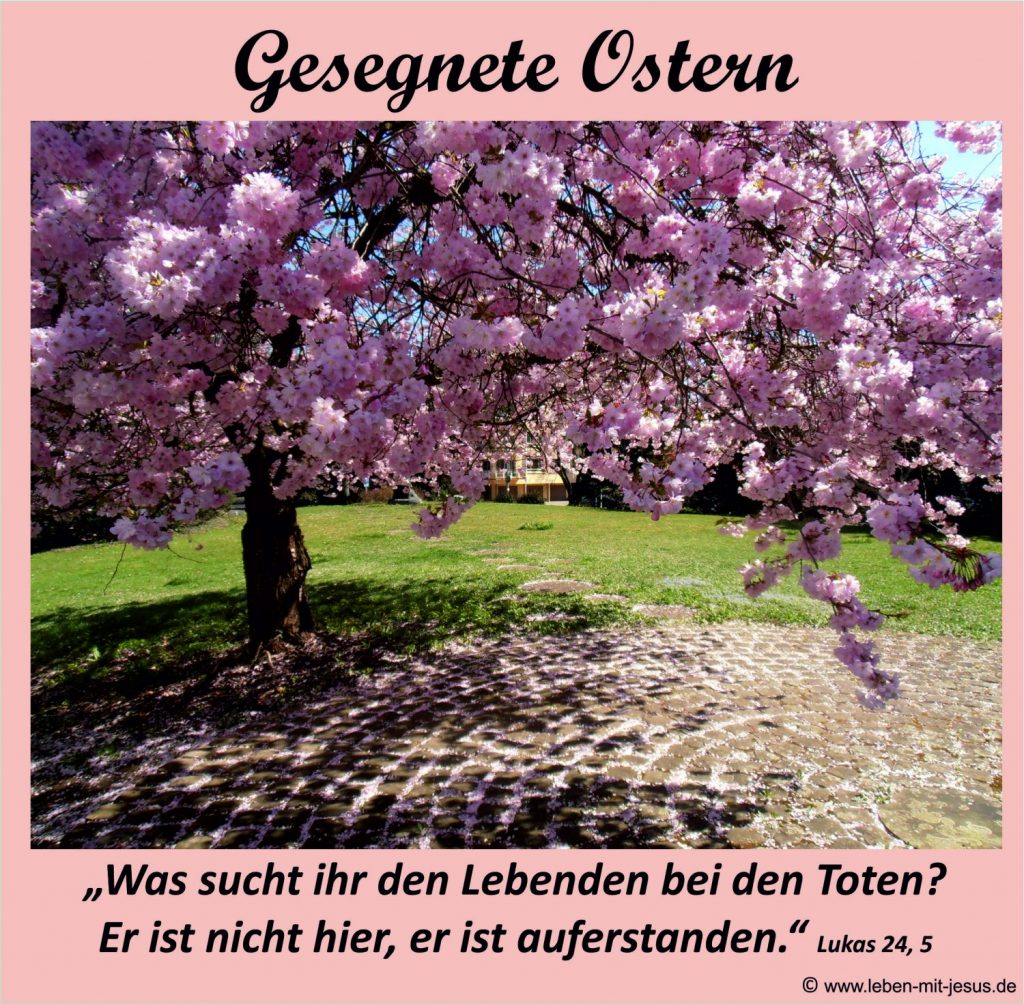 e-cards zu Ostern Ostern rosa Frühling