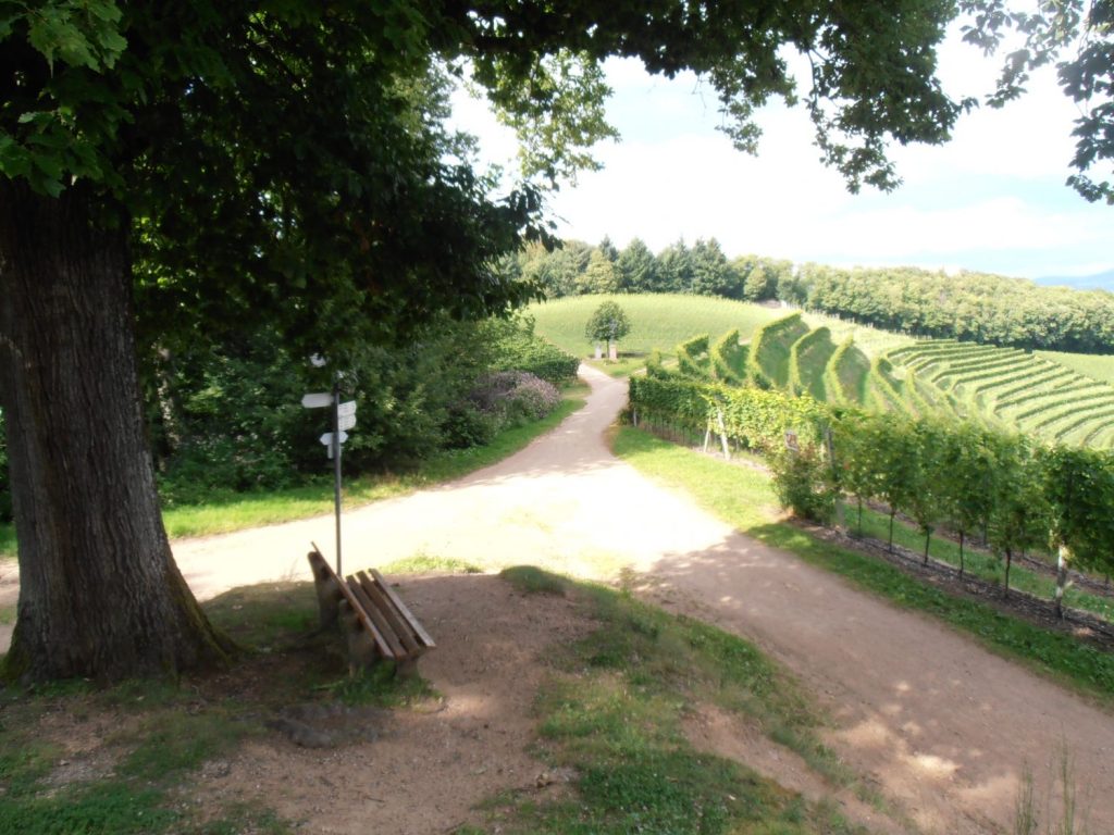 Predigt zu Johannes 8,21-26 Römer 6,19-23 Weg Wegkreuzung Entscheidung Wanderung Wandern Weg Impuls der Woche