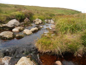 Predigt zu Johannes 15,9 Sonntag Kantate Konfirmation Glaube macht den Unterschied Jesus Fluss Impuls der Woche Hoffnung Mut