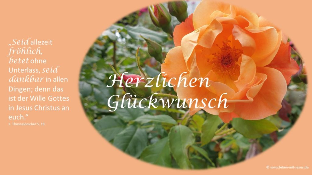 e-cards zum Geburtstag