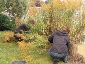 Gruppen und Projekte Haus und Gartentag