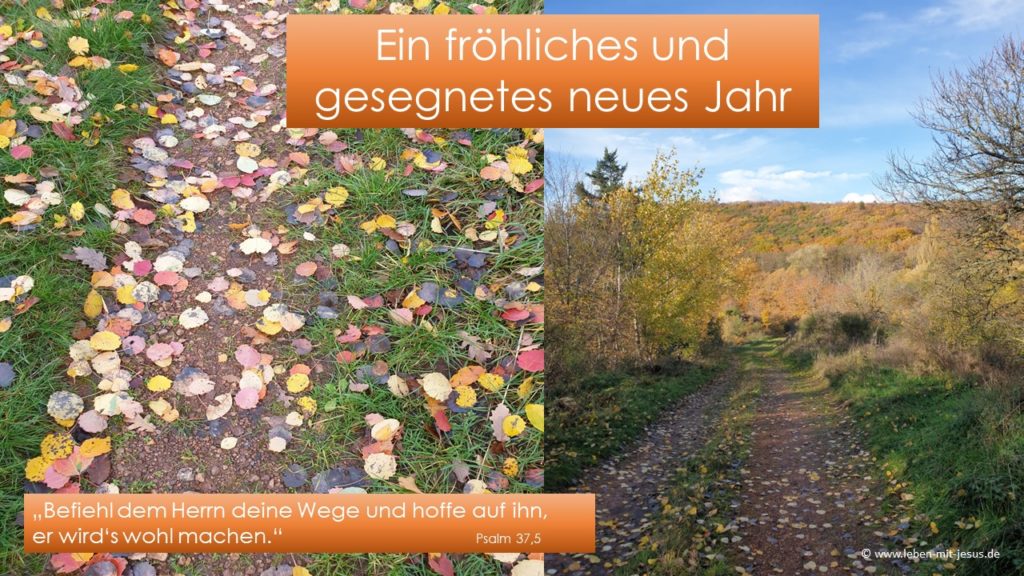 e-cards zum neuen Jahr Neujahrskarte Neujahrsgruß Neujahrswunsch christliche e-cards Waldweg Wanderung im Herbst mit bunten Blättern wie Konfetti