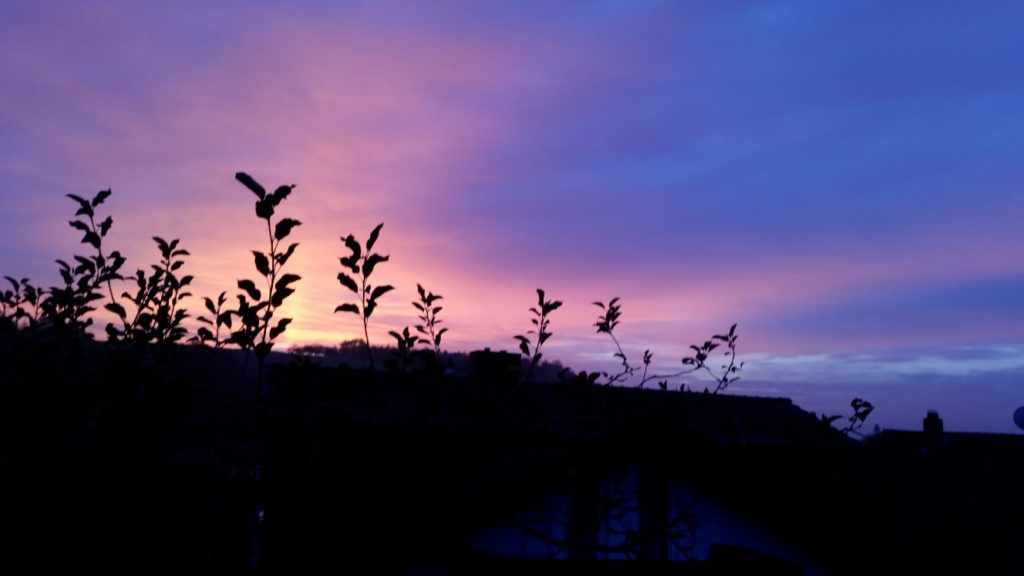 Impuls der Woche 48 Himmel am Morgen Morgenhimmel über Bolanden aufgehende Sonne im Dezember Winter