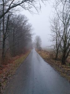 Predigt zu Philipper 4, 4 Nebel Weg Wanderung Regen Stimmung Herbst Traurigkeit 