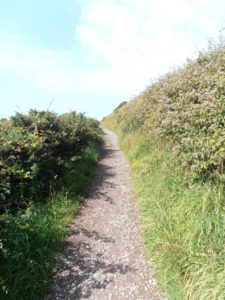 Predigt zu 2. Könige 5, 1 - 15 Wegführung schmaler Weg Irland Cliff Walk Gottes Wege Vertrauen lernen Demut Stolz