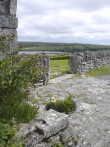 Predigt zu Joahannes 10,9 schöne Mauer aus Felssteinen in Irland  Jesus ist die Tür zum Leben