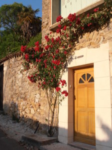 Predigt zu Johannes 10,9 Tür Eingangstür in Frankreich Südfrankreich schöne Haustür mit Rosen