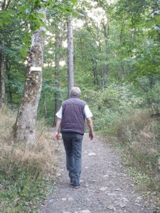 Predigt zu Hebräer 12, 1- 3 Laufen Wandern Sport Wandern im Wald sportlich aktiv gesund erholsam Ziel