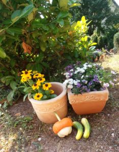 Andachten Segen im Garten Ernte dank Dankbarkeit Landwirtschaft