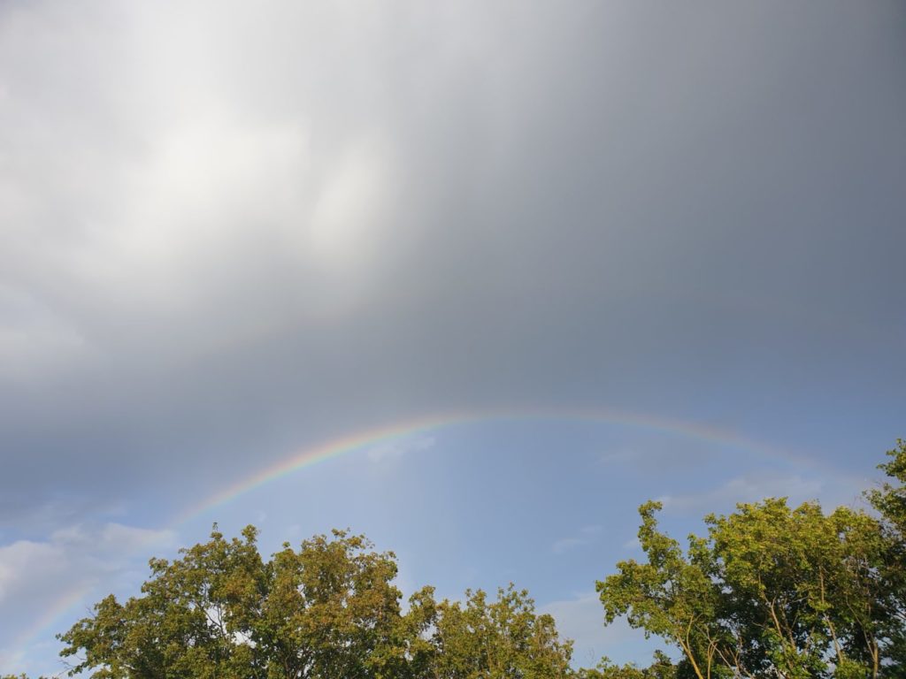 Impuls der Woche KW 33 Regenbogen im Sommer