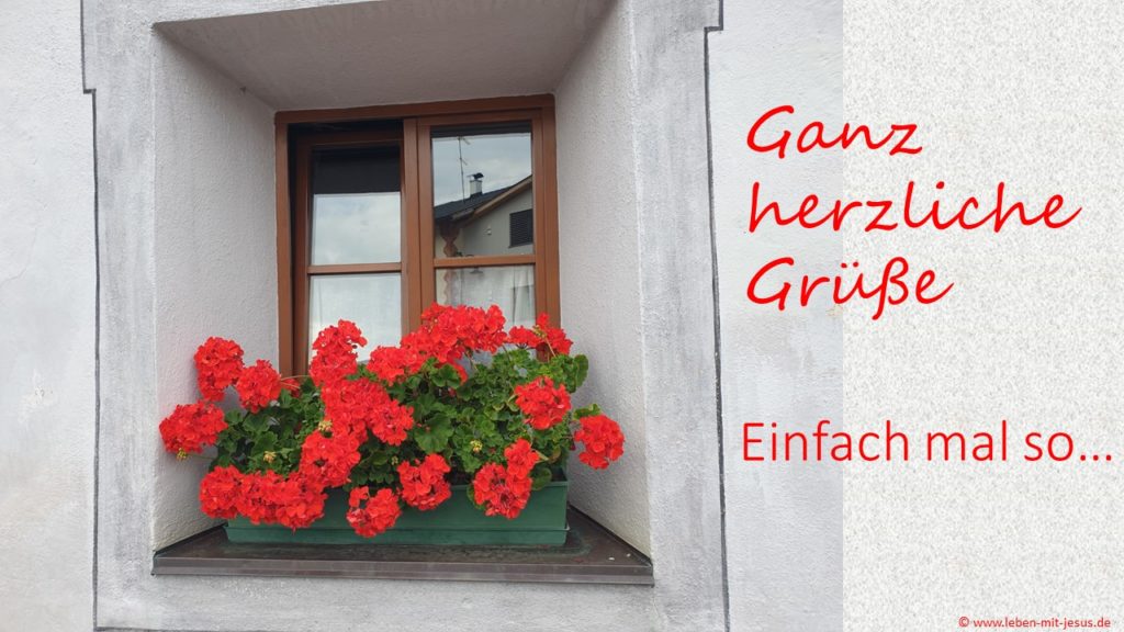 e-cards einfach mal so Grußkarte Herzliche Grüße besonders schöne e-card Blumenfenster Geranien am Fenster