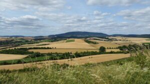Predigt zu Jeremia 9,22+23 Gottes Schöpfung Natur Blick auf den Donnersberg Rheinlandpfalz Kornfelder 