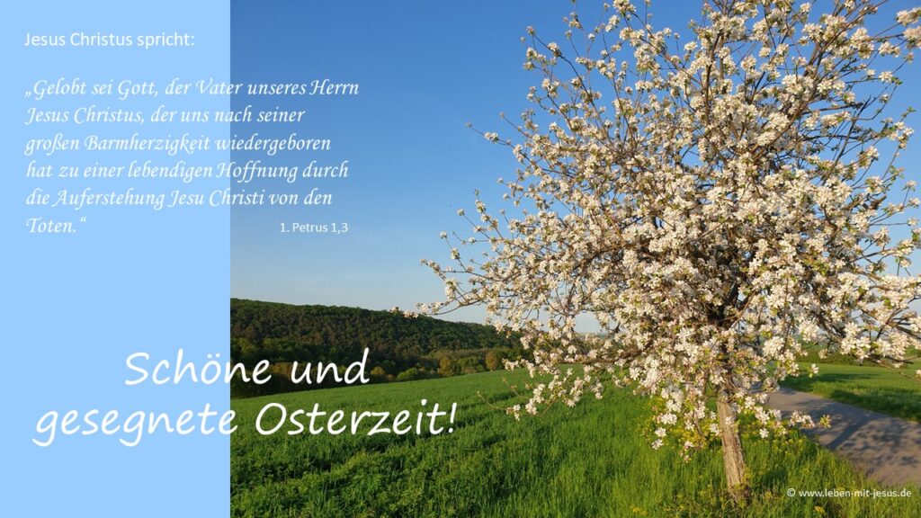 e-cards zu Ostern christliche e-cards e-cards mit Bibeltexten Bibelversen Bibelsprüchen Frühling blühender Baum fröhliche e-cards