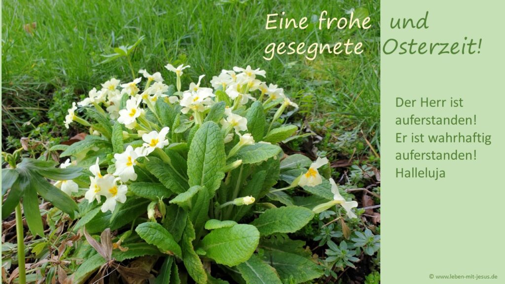 e-cards zu ostern christliche e-cards mit Bibeltexten Bibelversen Bibelsprüchen besonders schöne e-cards mit Blumen Frühling