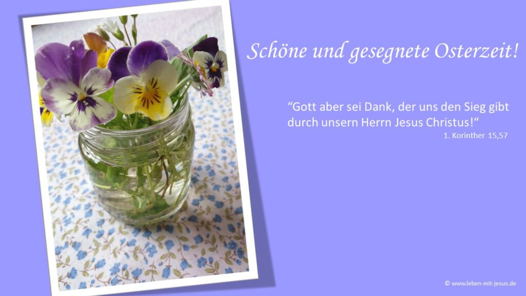 e-cards zu Ostern christliche e-cards mit Bibeltexten Bibelversen Bibelsprüchen Frühling e-cards mit Blumen