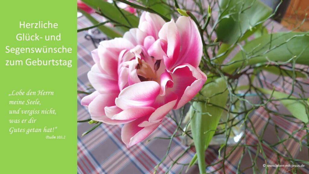 e-cards zum Geburtstag Glückwünsche besonders schöne e-cards mit Blumen Tulpen Frühling e-cards mit Bibelverse Bibelsprüche Segensverse