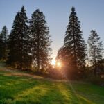 e-cards zu verschiedenen Anlässen Abendstimmung zur Ruhe kommen Besinnung auf sich selbst sich selbst finden Urlaub Ferien Entschleunigung Ausruhen Abschalten Erholung Schwarzwald Feldberg