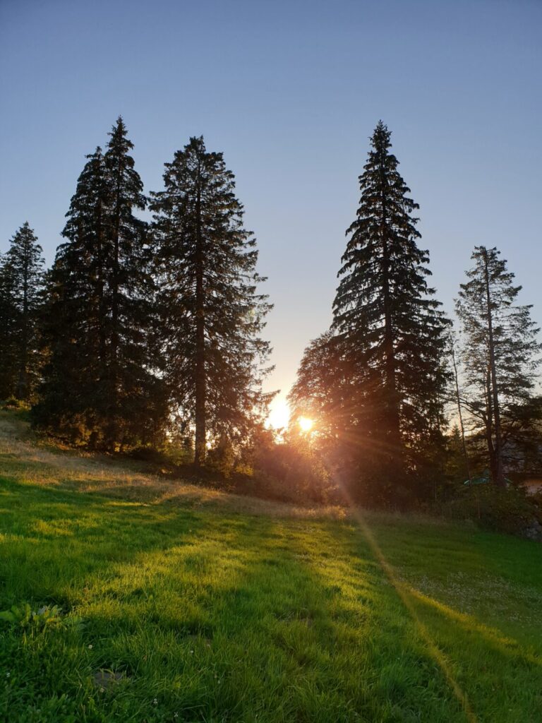 e-cards zu verschiedenen Anlässen Abendstimmung zur Ruhe kommen Besinnung auf sich selbst sich selbst finden Urlaub Ferien Entschleunigung Ausruhen Abschalten Erholung Schwarzwald Feldberg