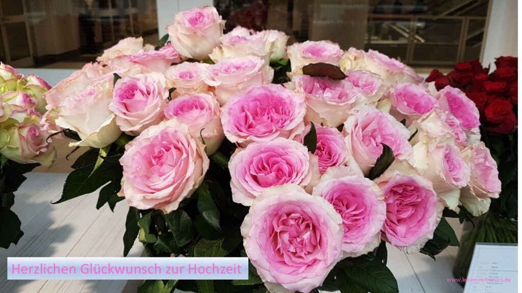 e-cards zur Hochzeit Glückwünsche Glückwunsch Rosen rosa besonders schöne e-cards Blumenstrauß Rosenstrauß
