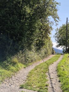 Predigt zu Jesaja 12,2 18 Sonntag nach Trinitatis Jubiläum Konfirmation Weg Lebensweg 