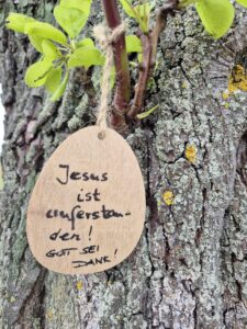 Predigt zu 1. Korinther 15, 19-28 Ostersonntag Ostern Auferstehung Jesus Christus Christlicher Glaube Osterei am Baum am Weg Osterbotschaft 
