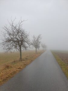 Predigt zu 1. Samuel 16,7 2. Sonntag nach Ostern Misericordias Domini mit Konfirmation schwere zeiten im Leben hindurchgehen Nebelweg 